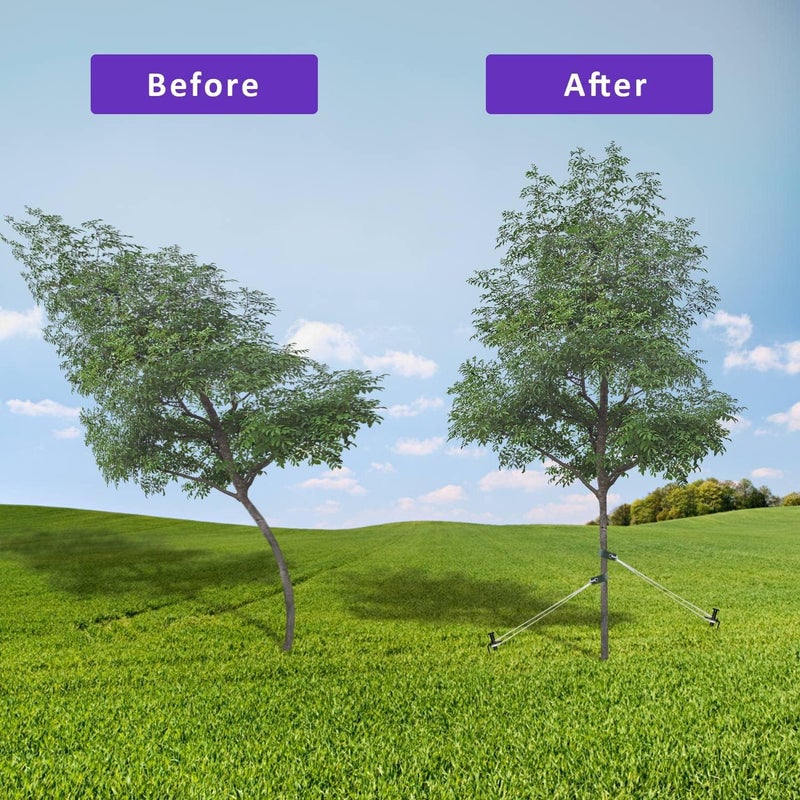 FCENDS Heavy Duty Steel Tree Support Kit, Tree Stake Kit for Newly Planted Trees Against Bad Weather, Include 6 PCS Tree Straps for Staking, 6 PCS Tree Stakes and 2 PCS Rope of 31.2 FT for Anchoring (2) - Image 3